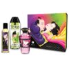 Shunga - Fruity Kisses Collection
