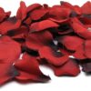 Trail Of Roses - Reusable Rose Petals