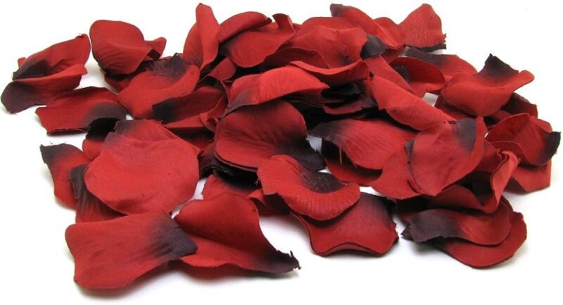 Trail Of Roses - Reusable Rose Petals