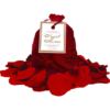 Trail Of Roses - Reusable Rose Petals