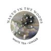 Hemp Seed - Massage In A Box - Naked In The Woods