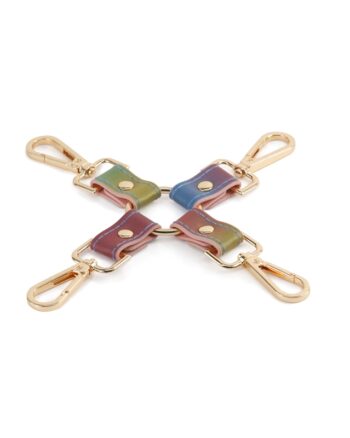 Spectra Bondage - Hogtie - Rainbow
