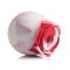 Bloomgasm - The Rose Lover's Swirl Gift Box
