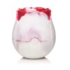 Bloomgasm - The Rose Lover's Swirl Gift Box