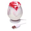 Bloomgasm - The Rose Lover's Swirl Gift Box