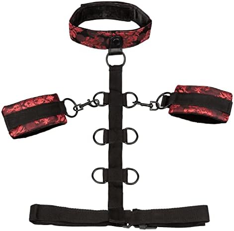 Scandal - Collar Body Restraint