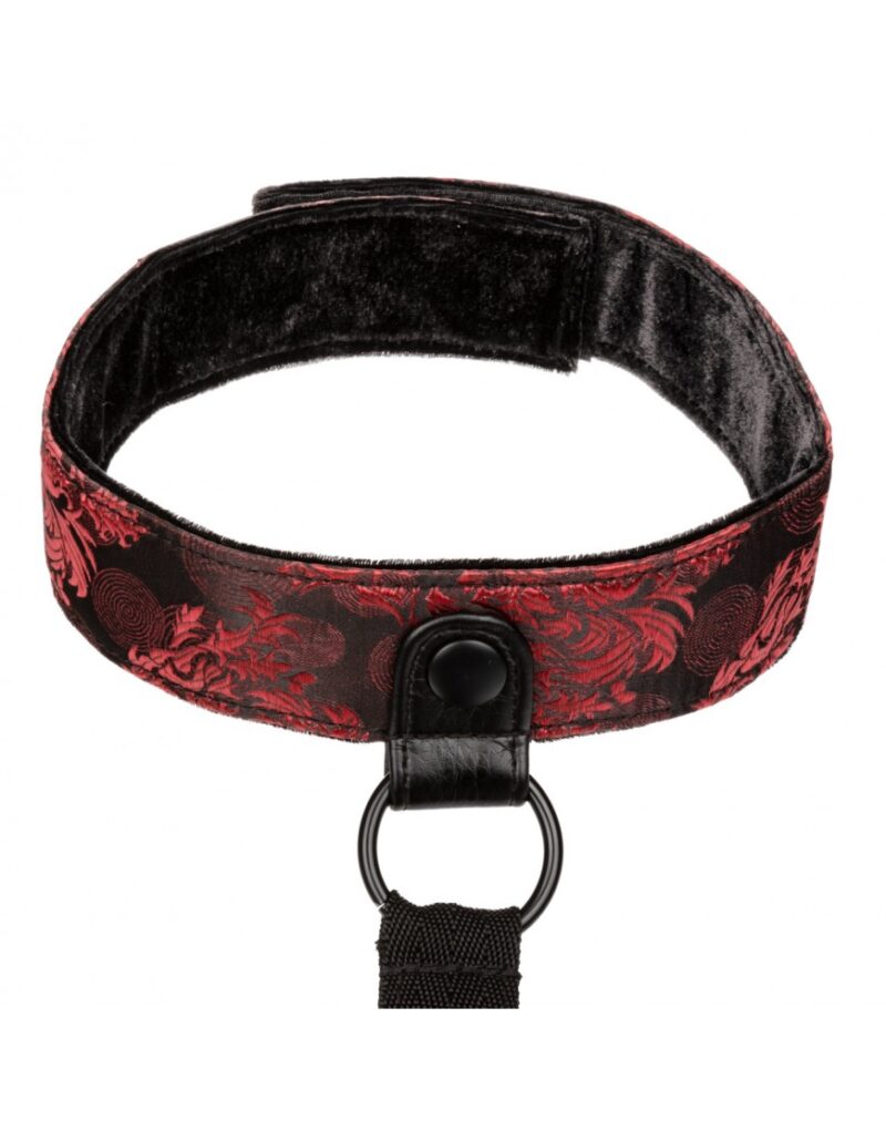 Scandal - Collar Body Restraint