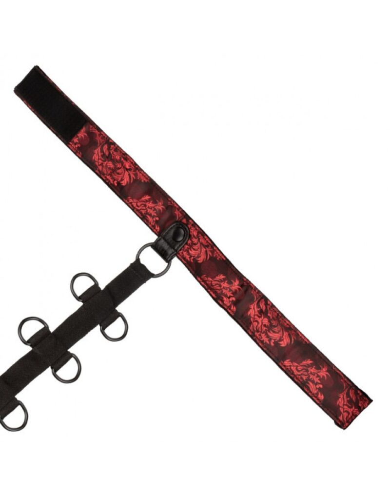 Scandal - Collar Body Restraint