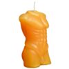 Sportsheets - LaCire Drip Torso Form IV