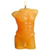 Sportsheets - LaCire Drip Torso Form IV