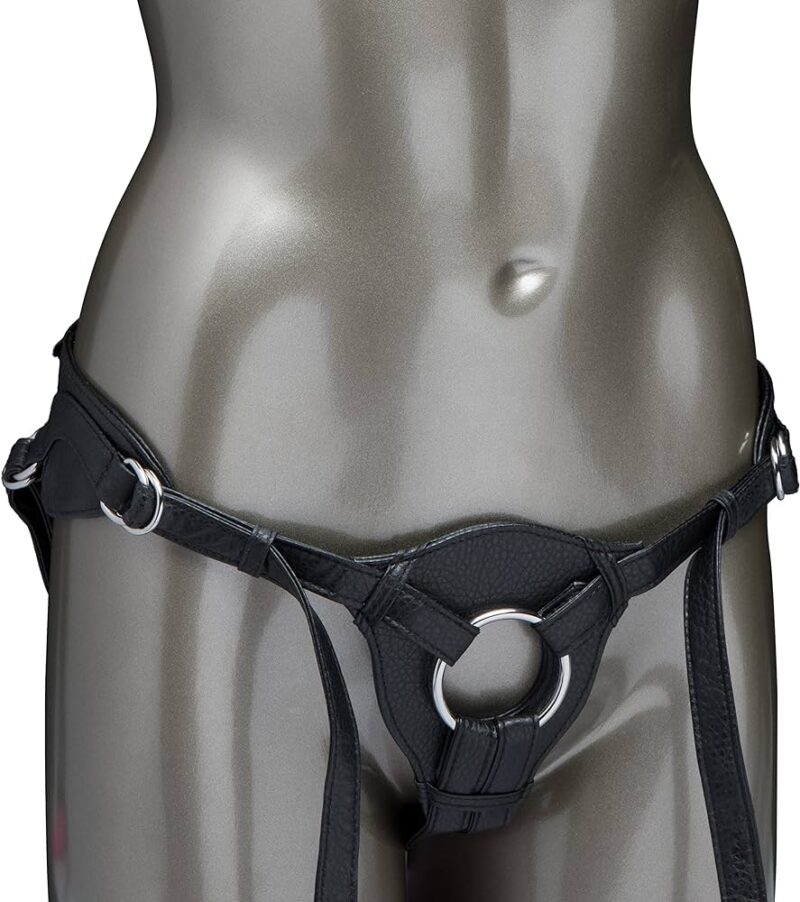 Her Royal Harness - The Queen Harness