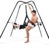 Fetish Fantasy Swing Stand