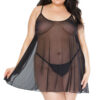 Sensually Sheer Chemise