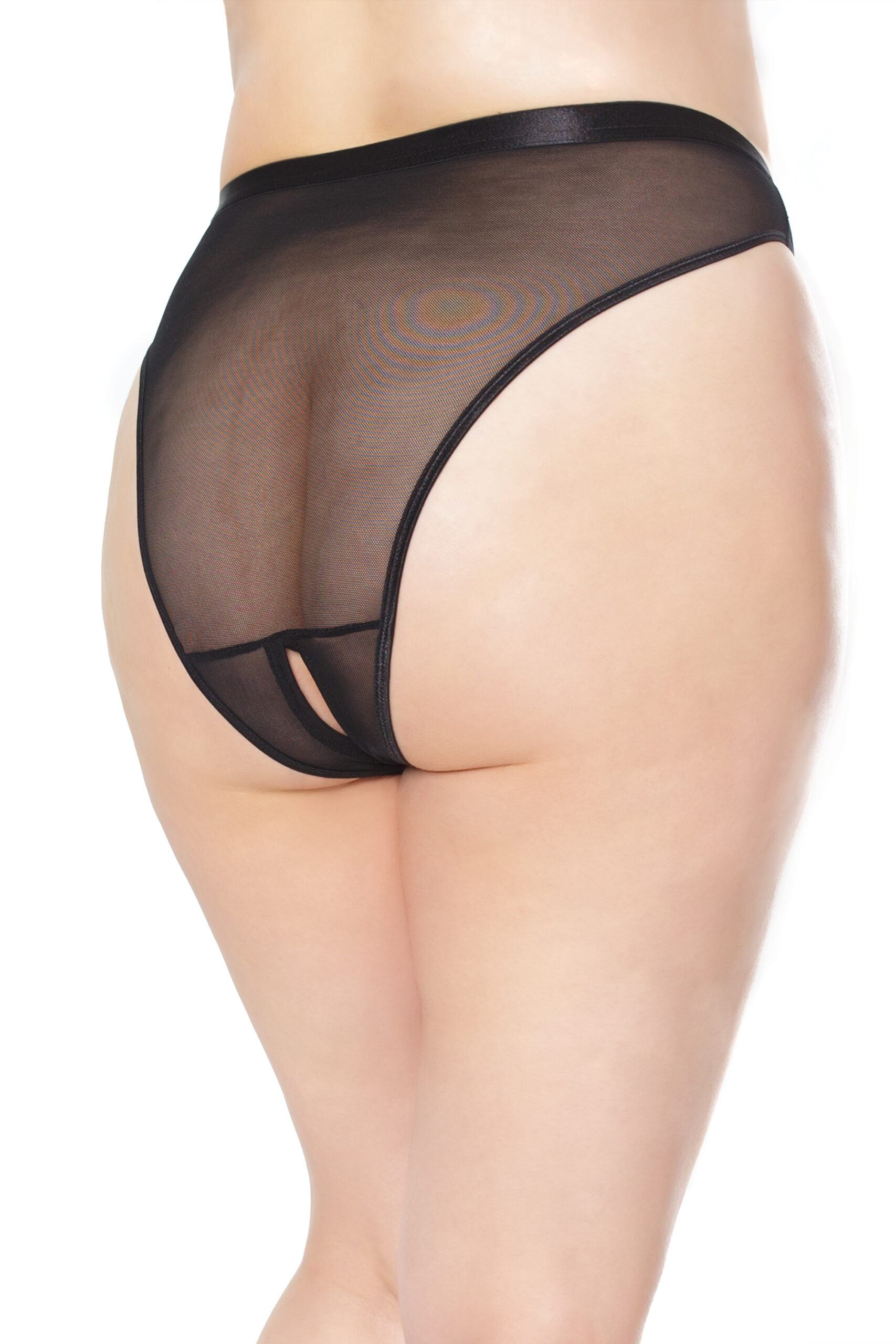 High Waisted Sheer Crotchless Panty