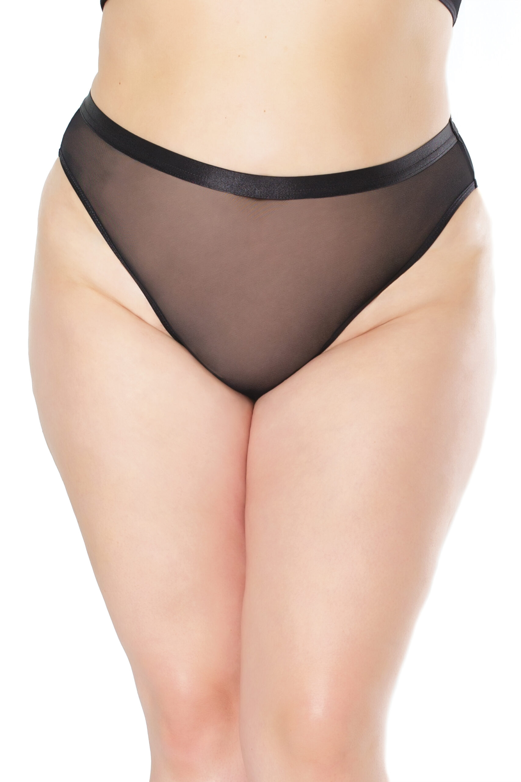 High Waisted Sheer Crotchless Panty
