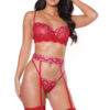 Red & Silver Bra, Garter & Panty Set