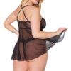 Sheer Babydoll & Thong Set