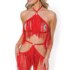 Fringe Top & Harness Skirt Set