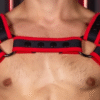 Mr S Leather Neo Carbon Harness