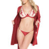 Nude Merlot Satin See-Through Bra & Panty Set