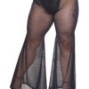 Flare Mesh Pants