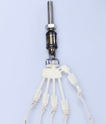 Articulated Skeleton Hand