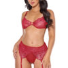 Ruby Shimmer Bra & Crotchless Garter Panty