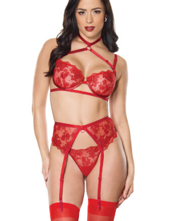 Scarlet Dreams Bra, Garter Belt & G-String