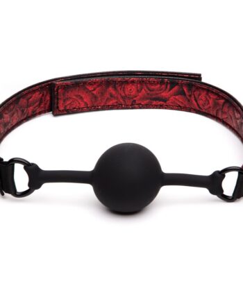 Fifty Shades Sweet Anticipation Ball Gag